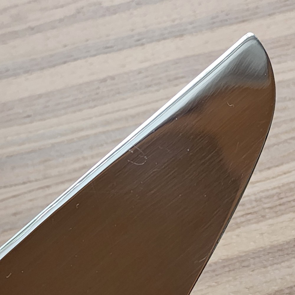 Michael Aram Botanical Leaf Cake Server Celebration Knife ~ READ