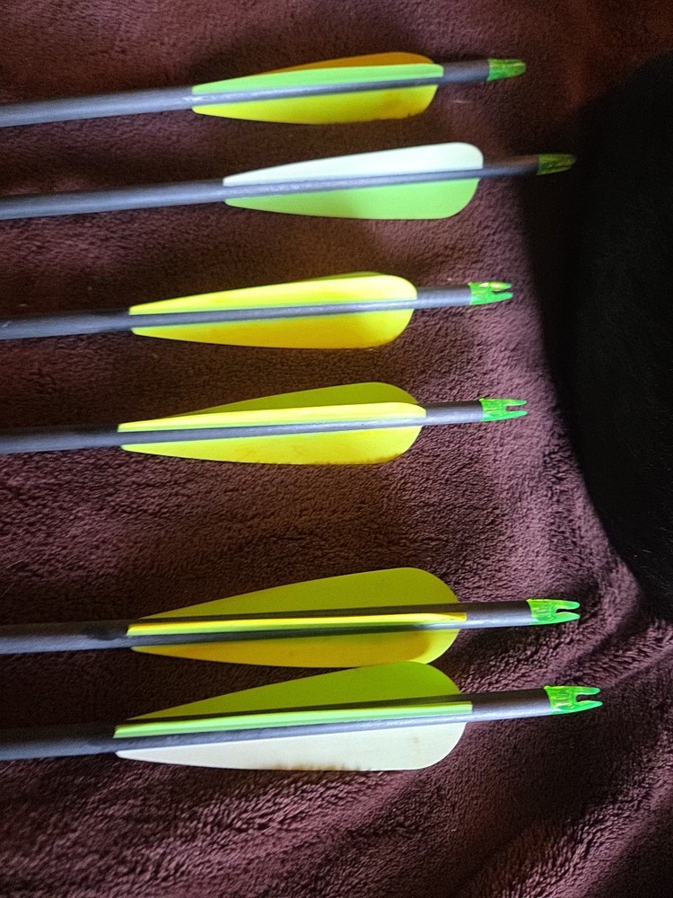 Predator 2 Arrows 6 Of Them