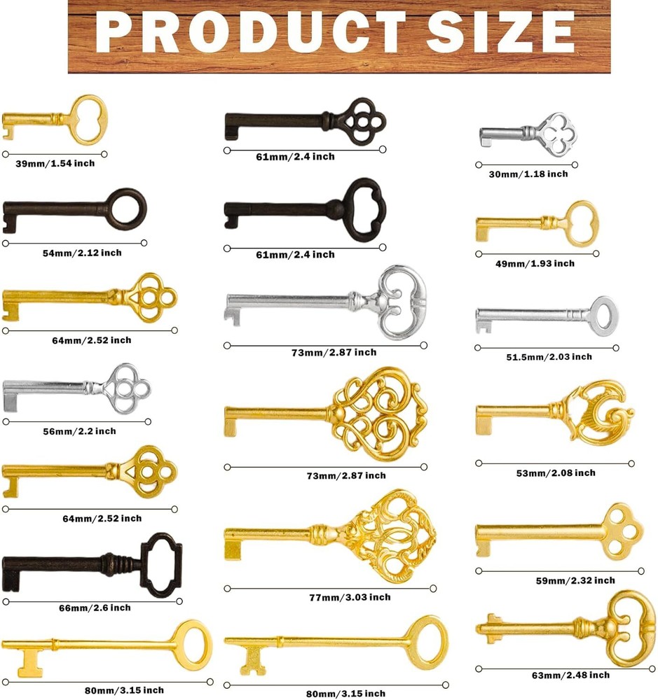 Universal Skeleton Keys Replacement 19Pcs Hollow Barrel Skeleton Key Set
