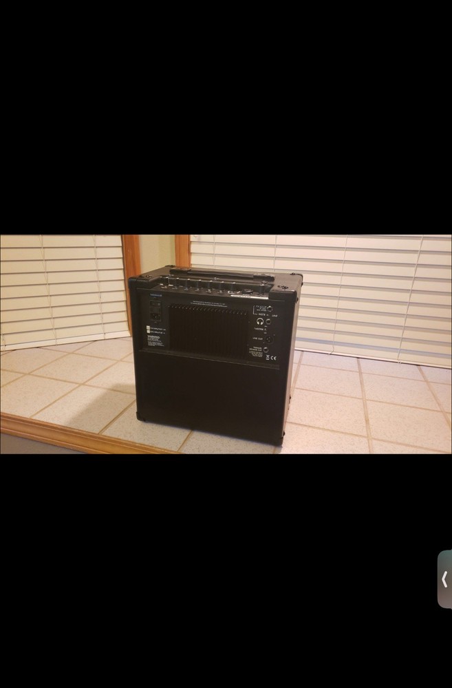 Henriksen Jazz Amp 310