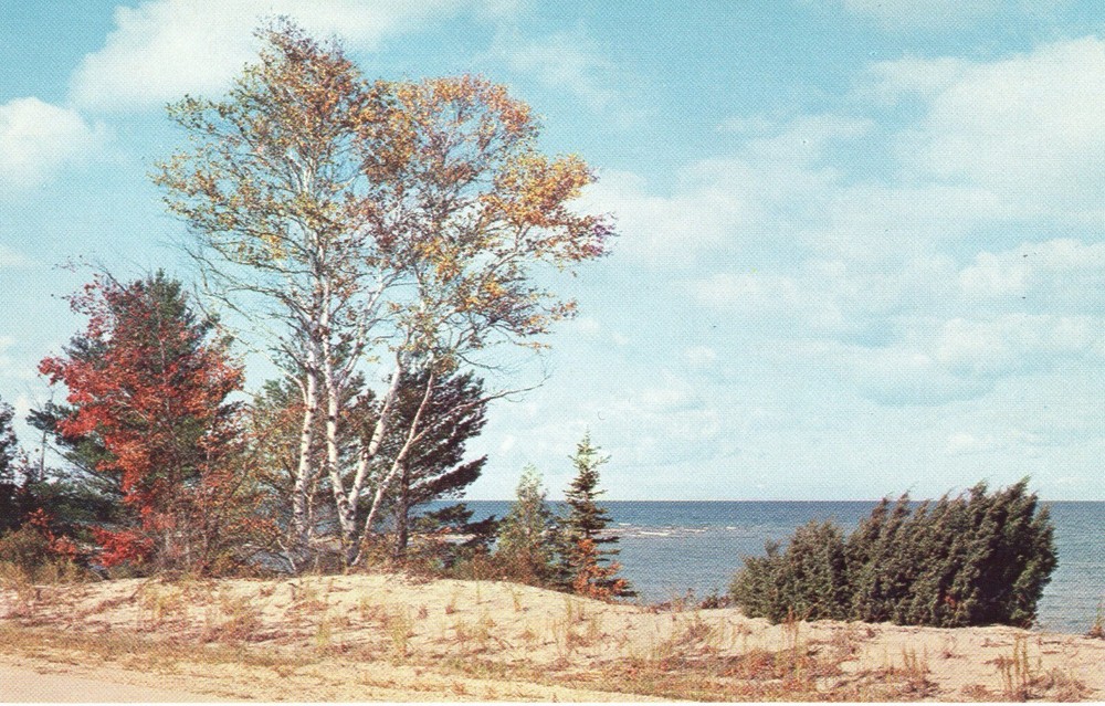 MICHIGAN'S GREAT LAKES SHORELINE - PC4619