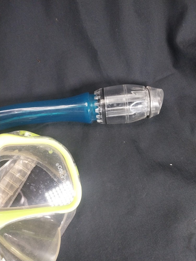 snorkel And Mask