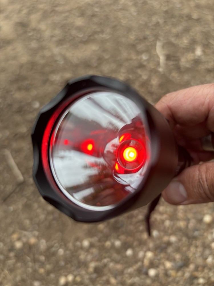 Bird Tufty Torch And carp Fishing