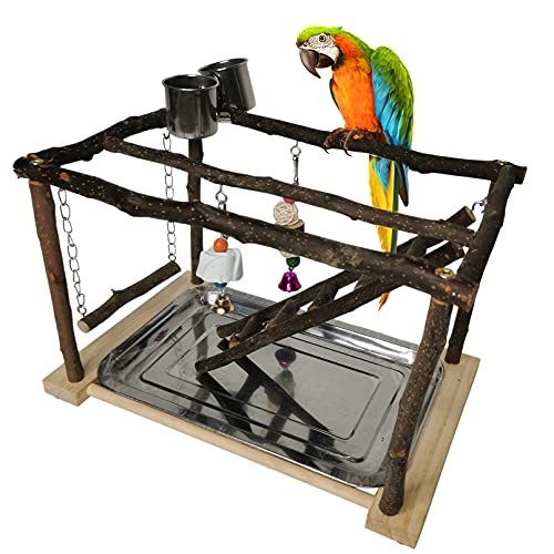 Bird Play Gym Stand for Parrots & Cockatiels - Wooden Perch, Climbing Ladders, C