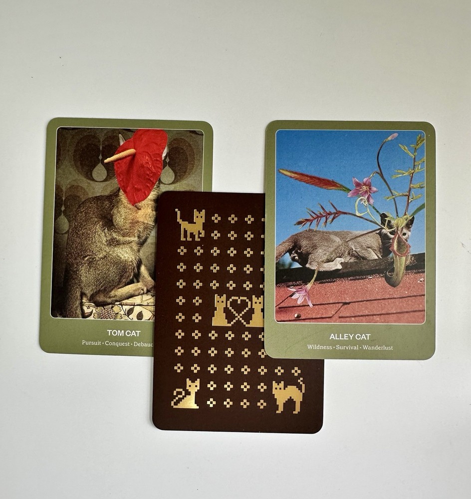 The Cat Oracle 33 Card Deck and Guidebook for Divination