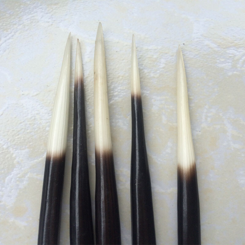 10Pcs Porcupine Quills DIY Fish Float Hair Stick Hair Craft Fishing Bobber