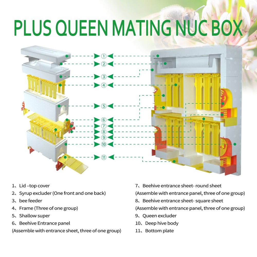 Bee Hives Boxes Plus Double Layer Queen Bee Mating Nuc Box Nuc Box for Bees Quee