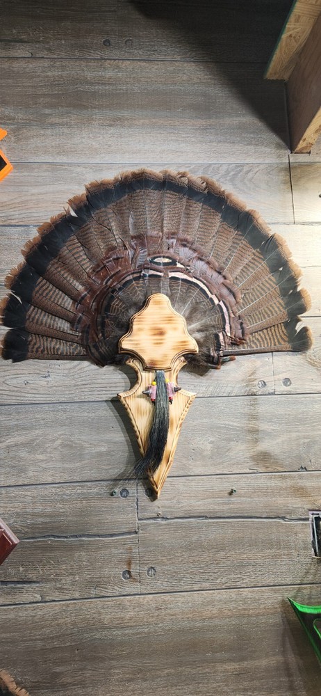 Turkey Fan Plaque Box Arrowhead Charred  2 Pack
