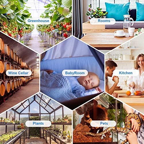 Inkbird Smart Thermometer, Freezer Wireless Thermometer Bluetooth White