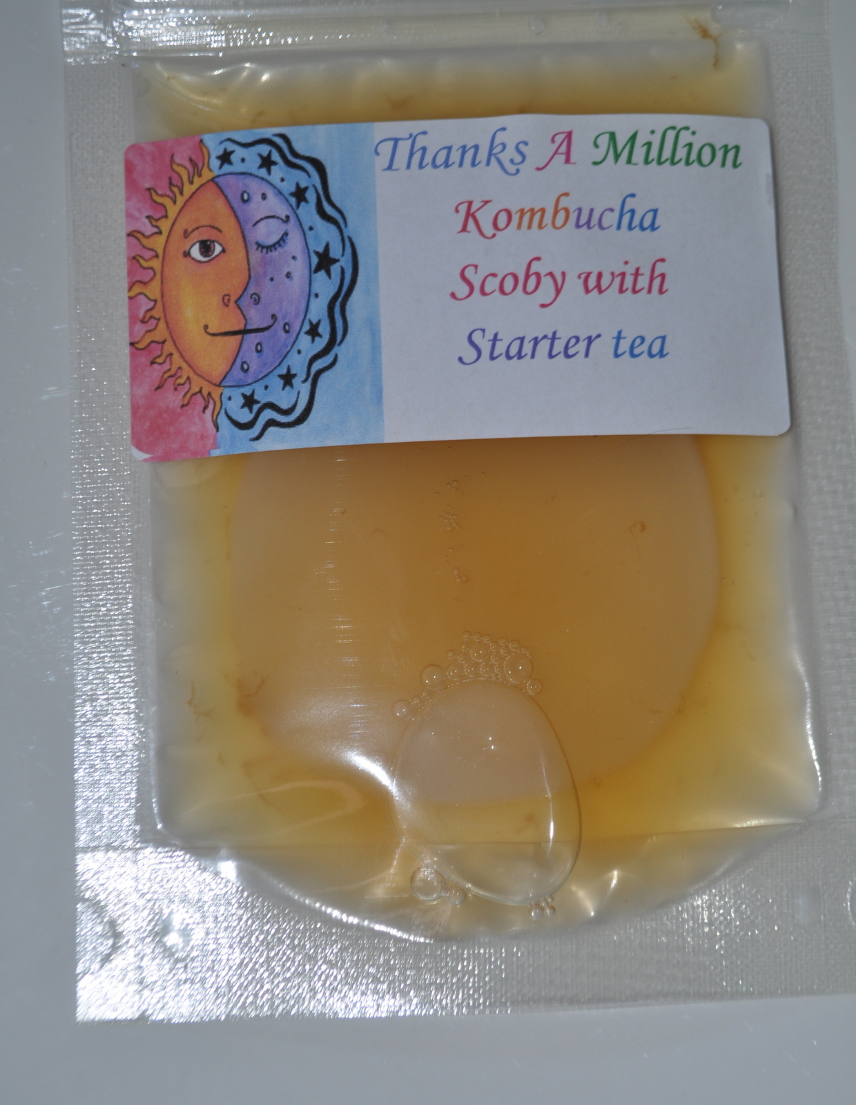 3" Live KOMBUCHA FRESH SCOBY STARTER TEA ORGANIC Free shipping