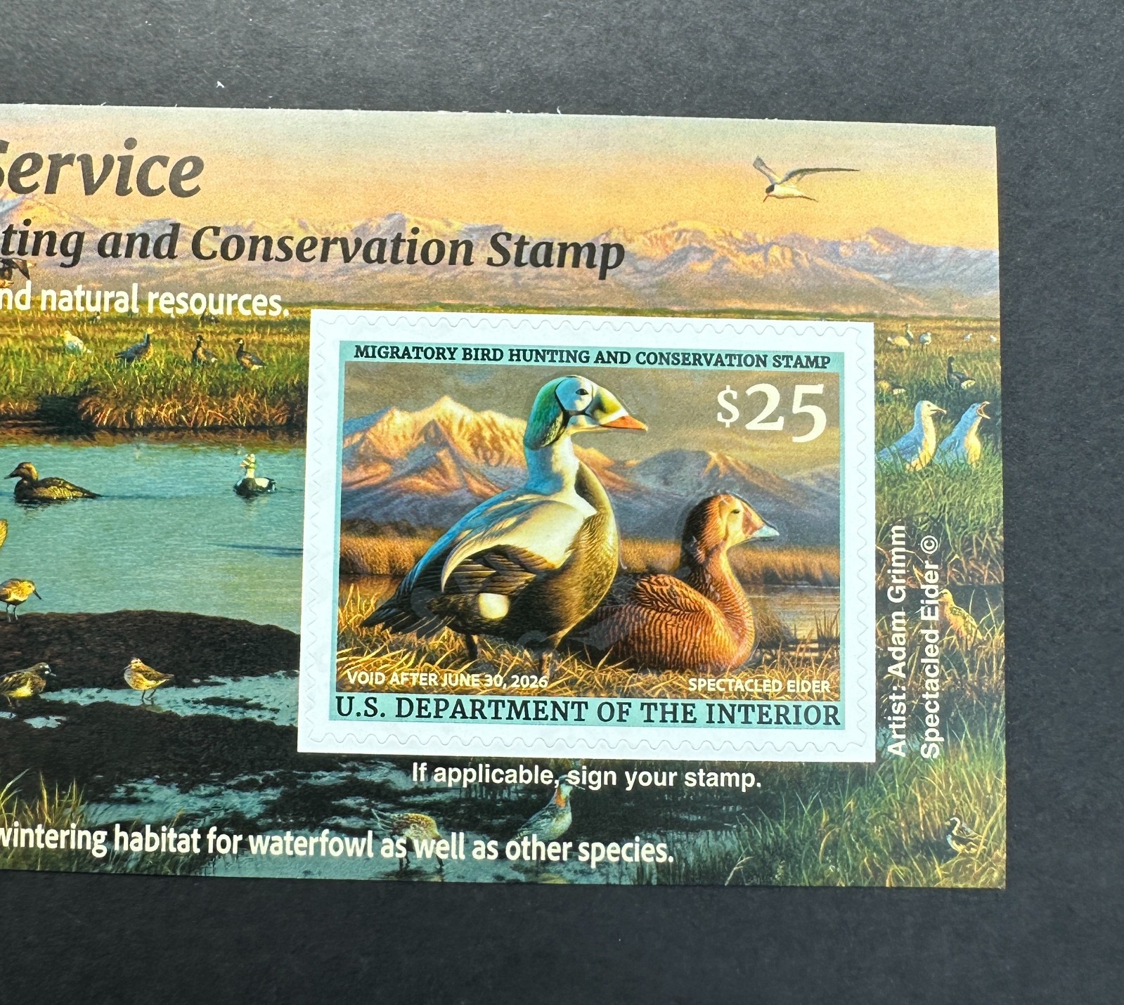 #RW92A 2025 - 2026 - US Federal Duck Stamp **ADAM GRIMM** Post Office FRESH