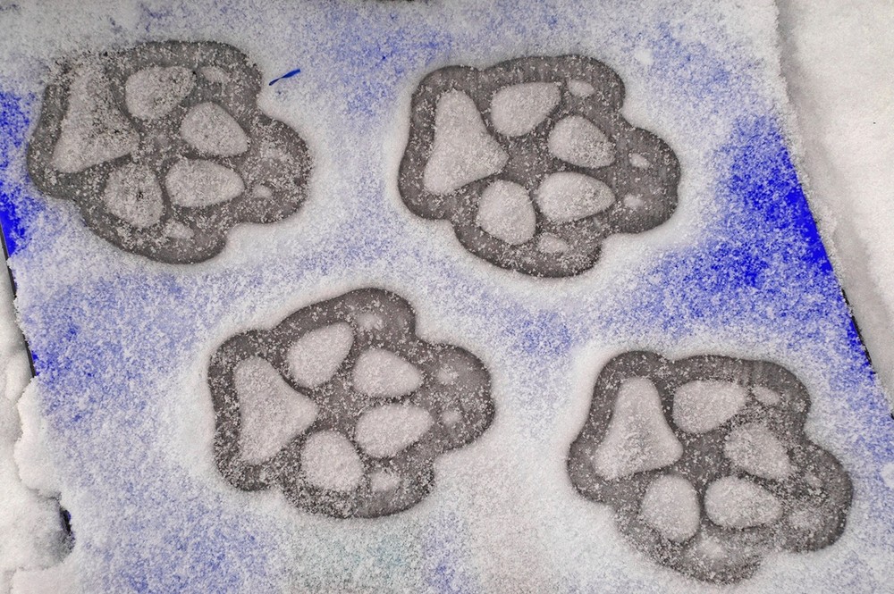 Stomp Pads - 4 Puppy Paws - Gray