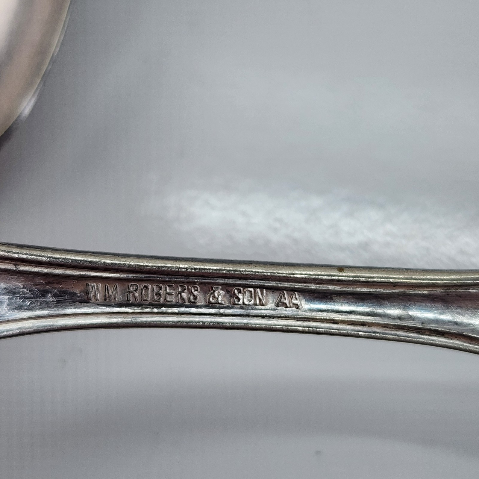 5 Vtg Silverplate Serving Spoons Wm Rogers Arbutus & Old Company Signature Rose