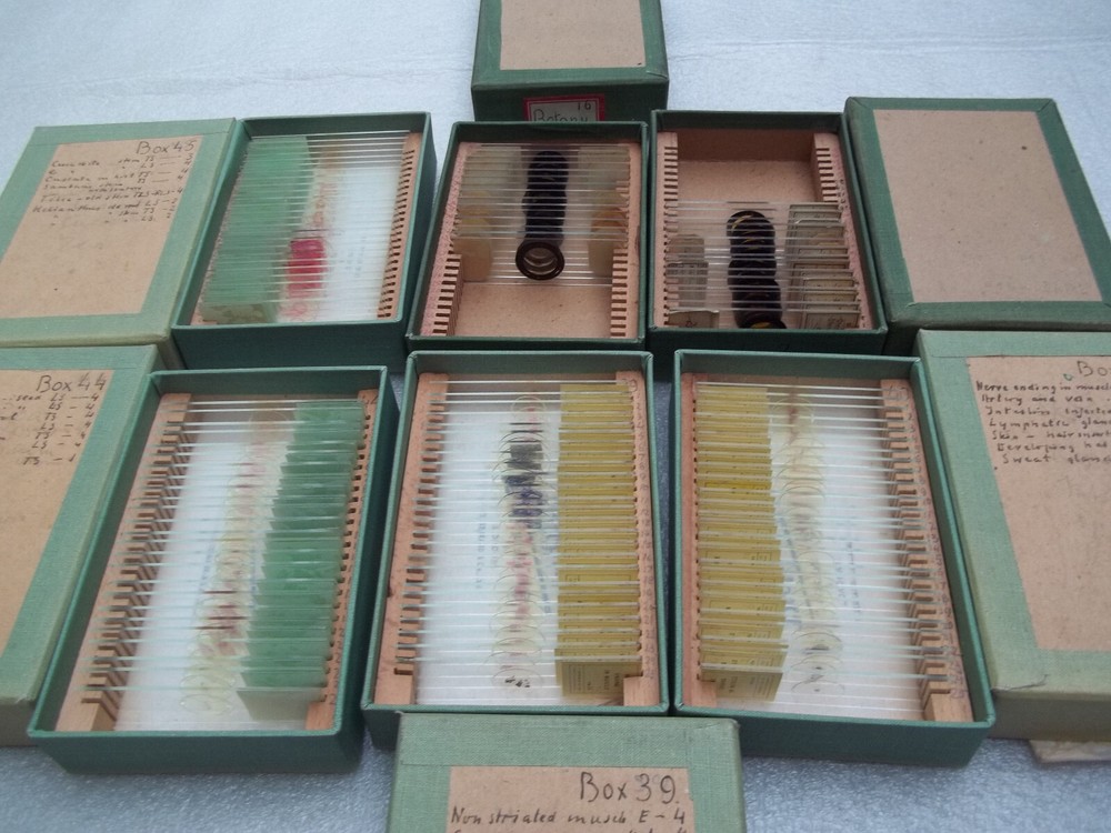 Vintage Glass Microscope Slides - 6 x Boxes