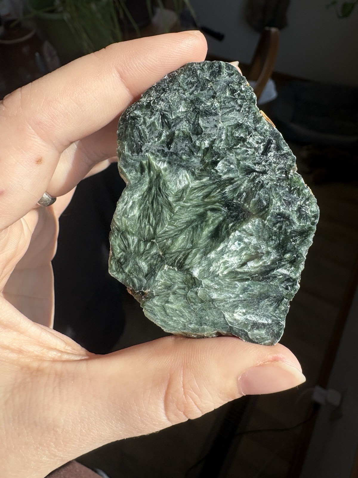 Seraphinite Slab