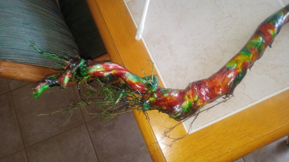 Rainbow Driftwood