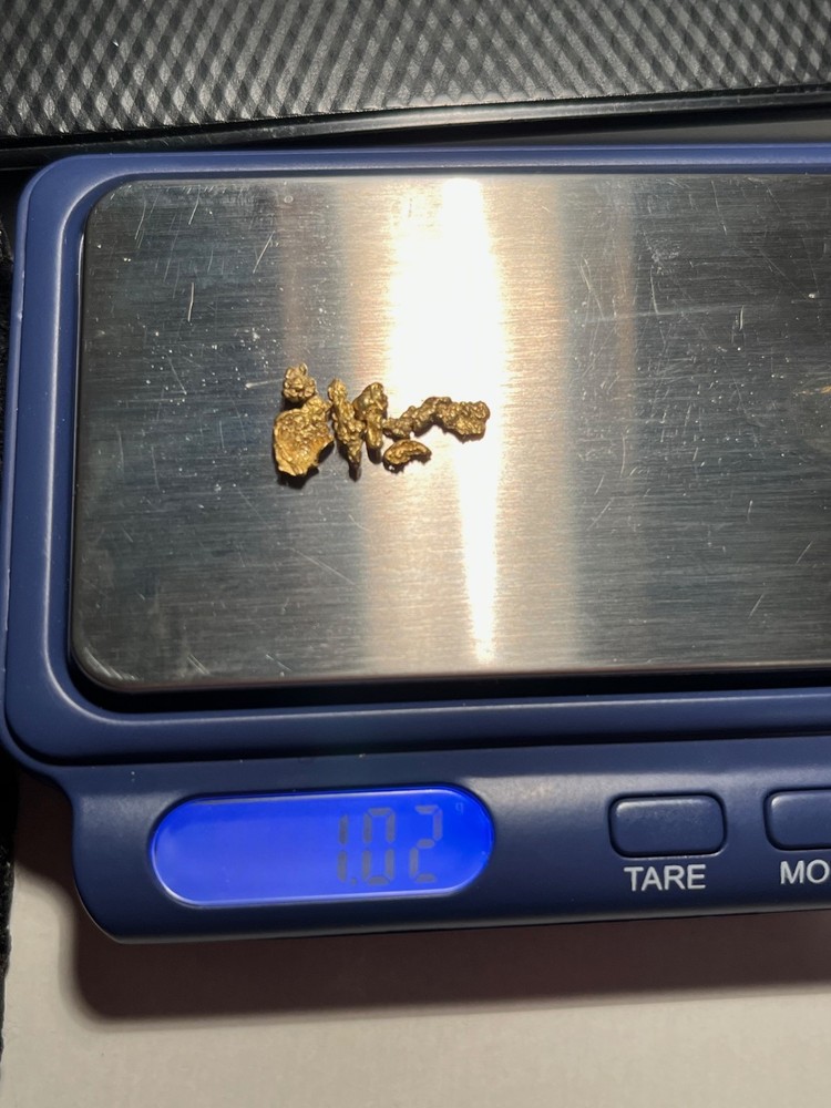 6 ALASKA GOLD NUGGETS 1.02 GRAMS SMALL/MEDIUM SIZE NICE
