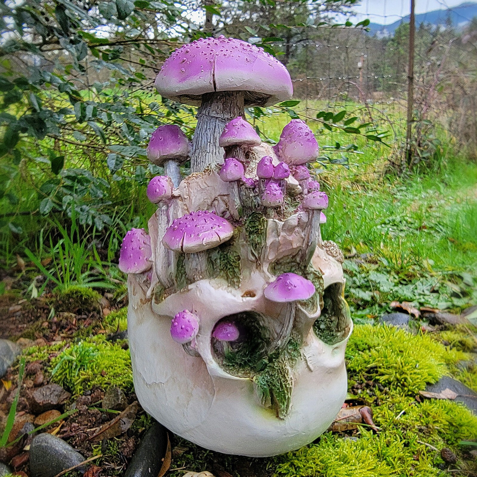 Mushroom skull, violet webcap, goblincore, oddities decor