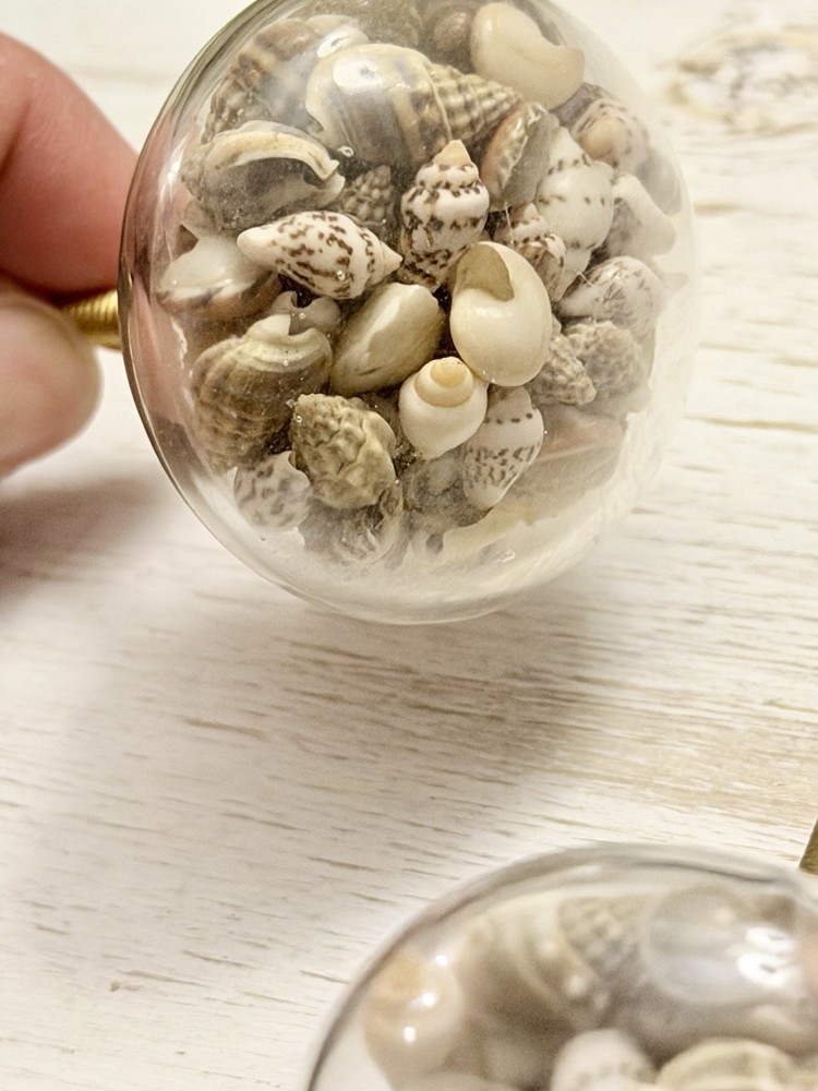 1 Seashell Filled Glass Drawer Pulls Knobs Cabinet Nautical Beach Decor Hardwar