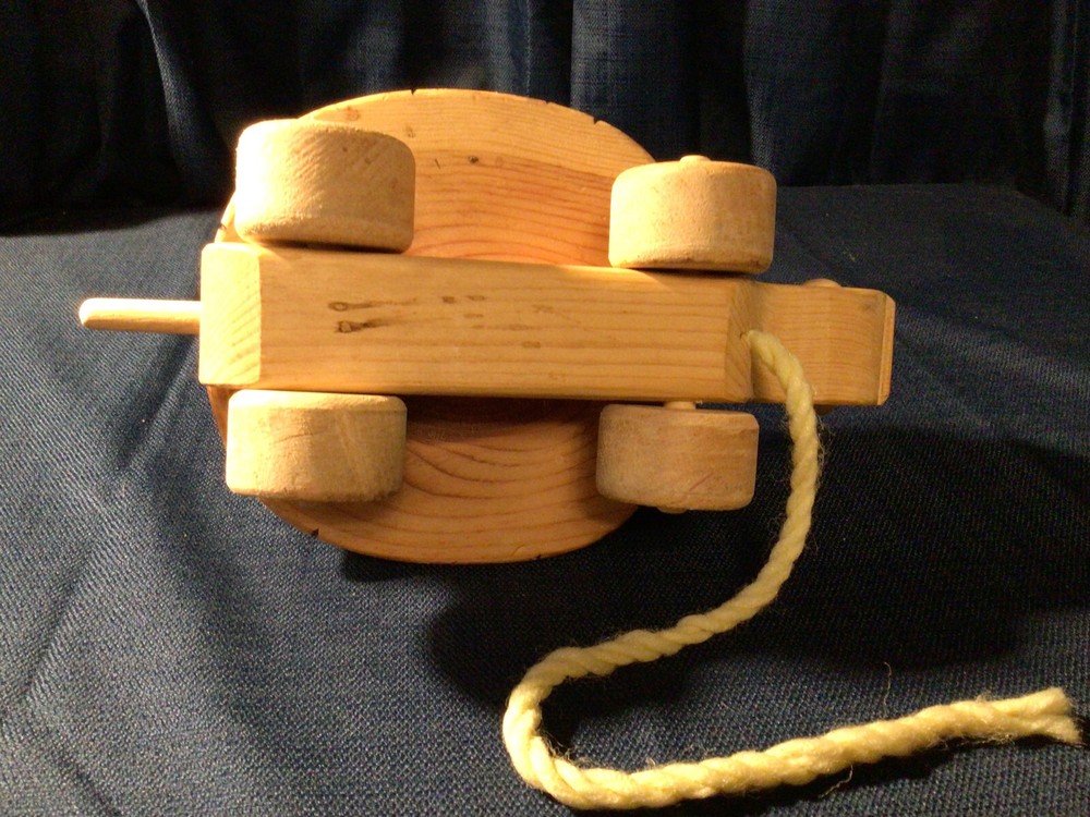 Wood Turtle Pull Toy