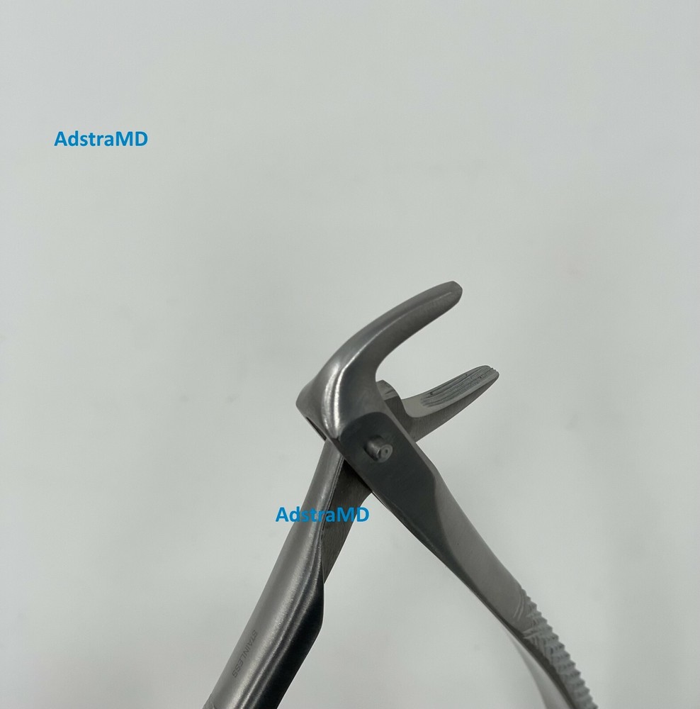 Extracting Forceps No. 74D Dental Surgical Instruments