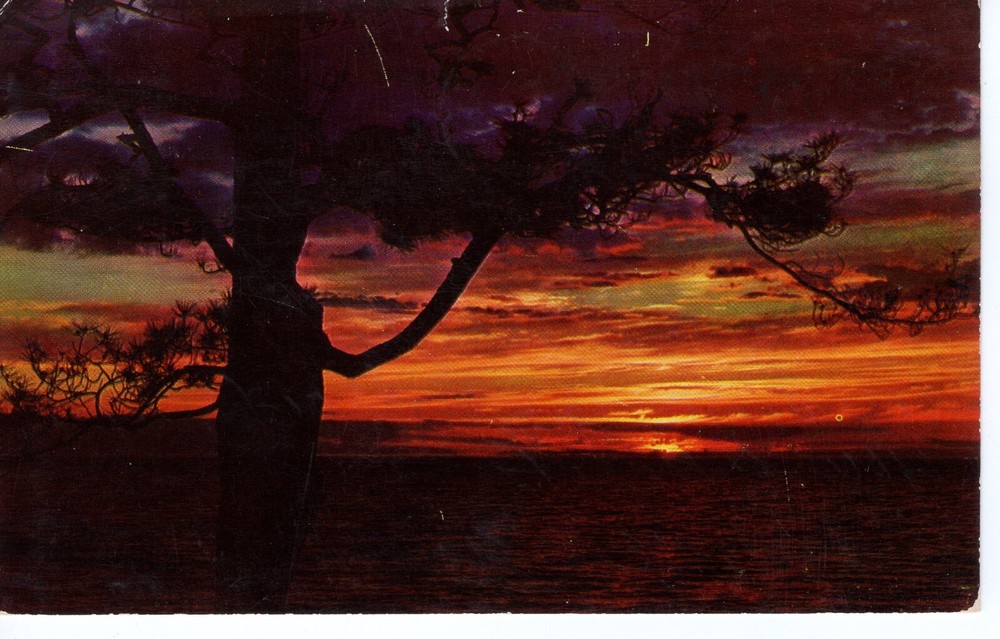 ALONG MICHIGAN'S HIGHWAYS - PC3594