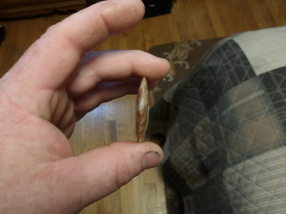 Snyder Flintridge 3 1/2" x 2"