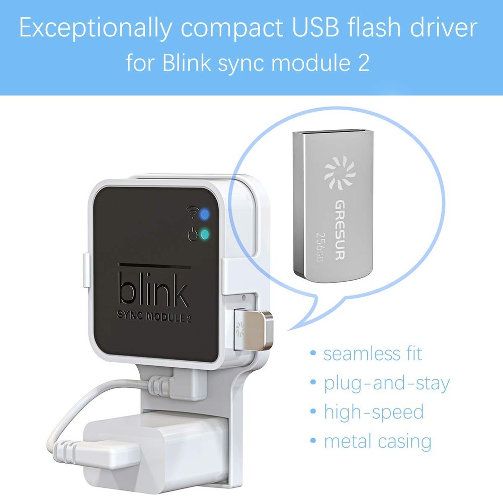 256GB USB Flash Drive for Local Video Storage with The Blink Sync Module 2 Mount