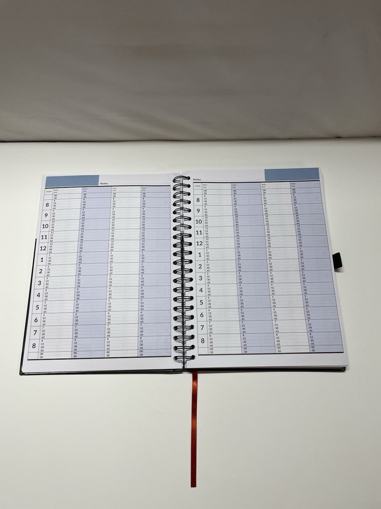 Appointment Book, Schedule Planner by StriveZen, Daily, Hourly