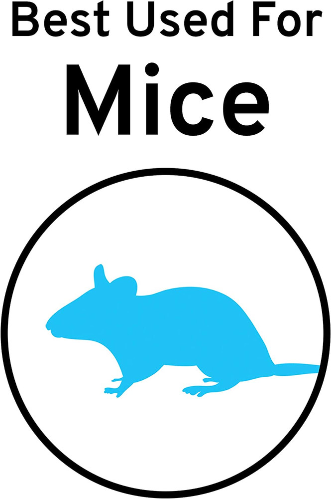 Victor M123SSR Quick-Kill Easy Set Mouse Trap - 6 Reusable Mouse Traps