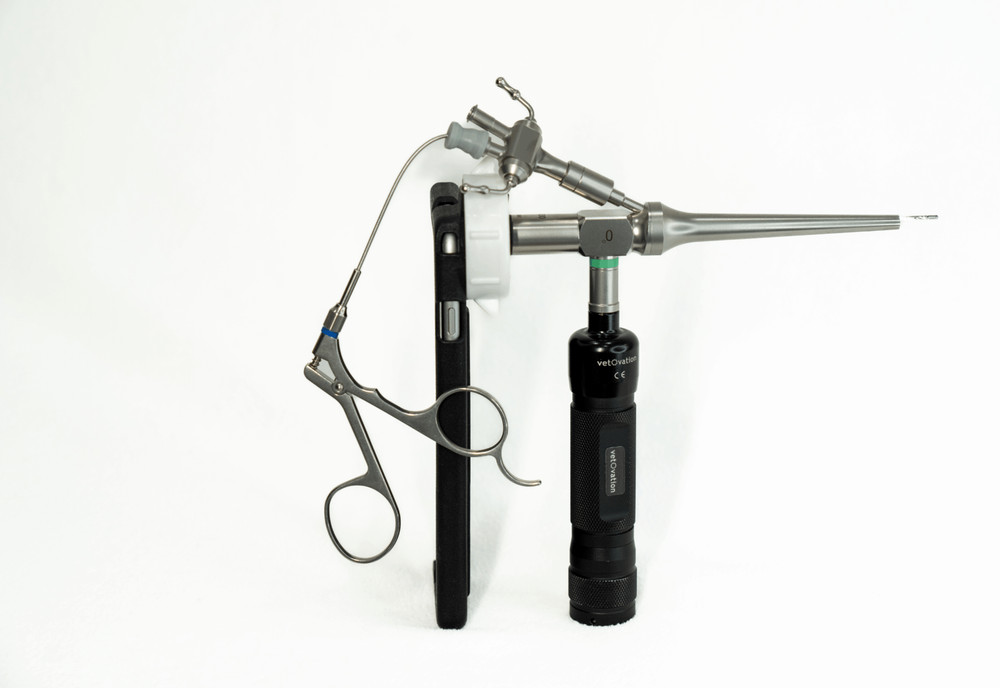 Veterinary Video Otoscope System