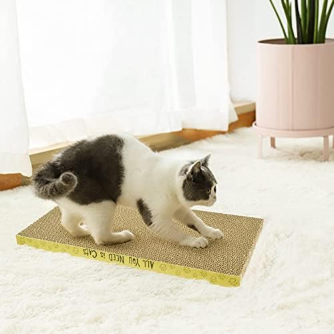 Cardboard Cat Scratcher Pads Cat Scratching Board Dual Side Reusable 3 Pack