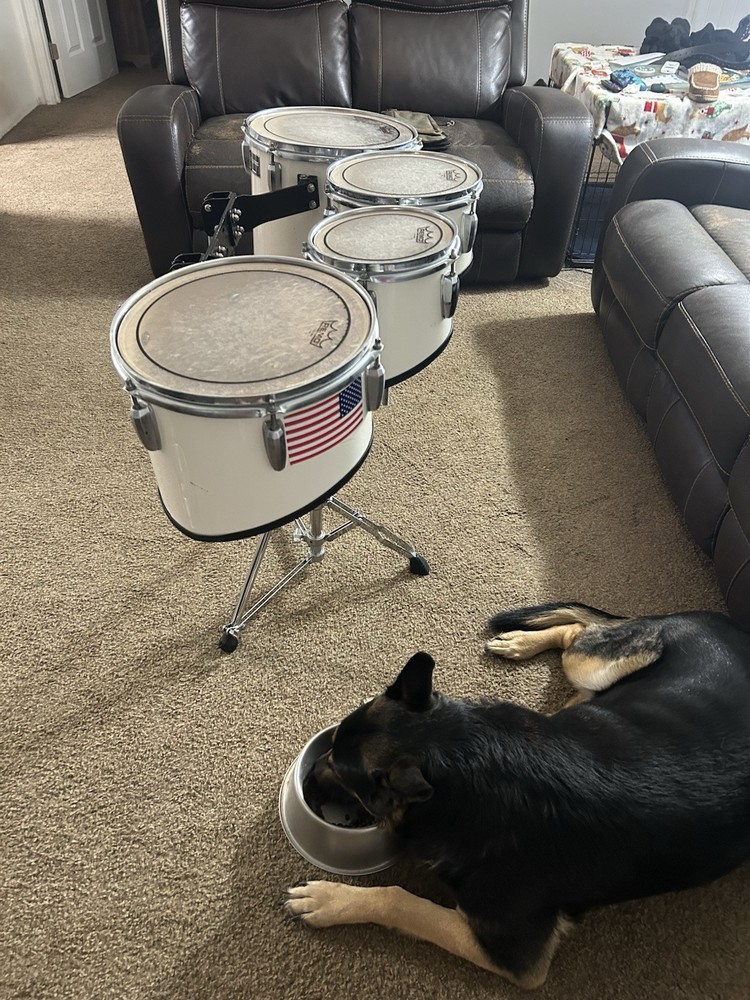 Mapex Qualifer Tenor Marching Drums