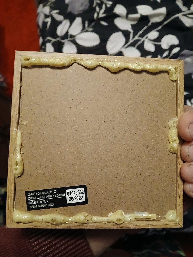 Framed Stag Beetles