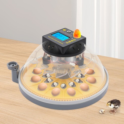 12 Eggs Automatic Incubator Egg Turning & Humidity Control For Hatching Eggs