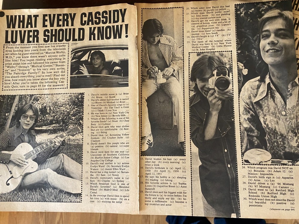 David Cassidy, Two Page Vintage Clipping