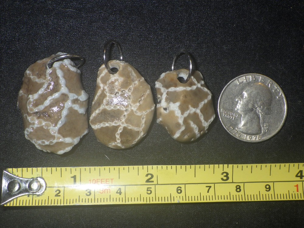Chain Coral Halysites Pendants