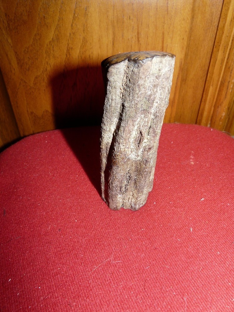 PERU AMAZON AYA. VINE CARVING #5