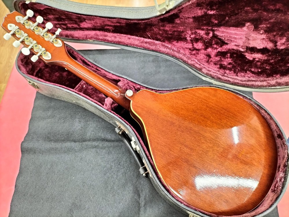 BLUERIDGE BM300F/TS Mandolin
