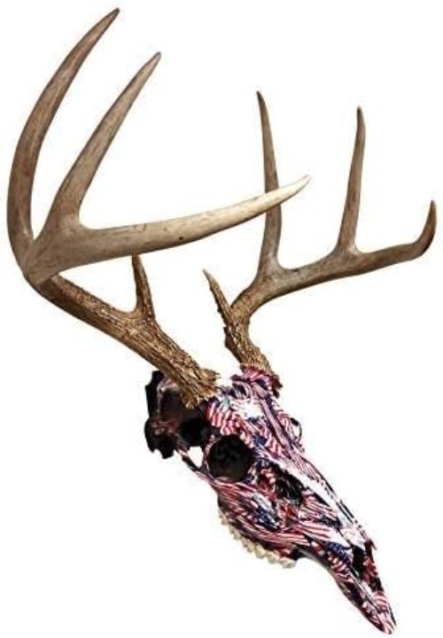 Durable E-Coat Skull Mount for Deer & Exotic Animals - Wobble-Free Display