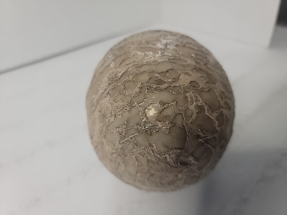 Dinosaur Egg Fossilized Crystallized Fossil QQ