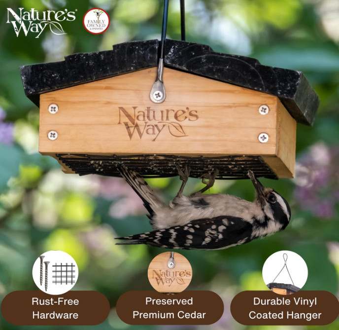 CWF2 Cedar Suet Upside-Down Bird Feeder, Black