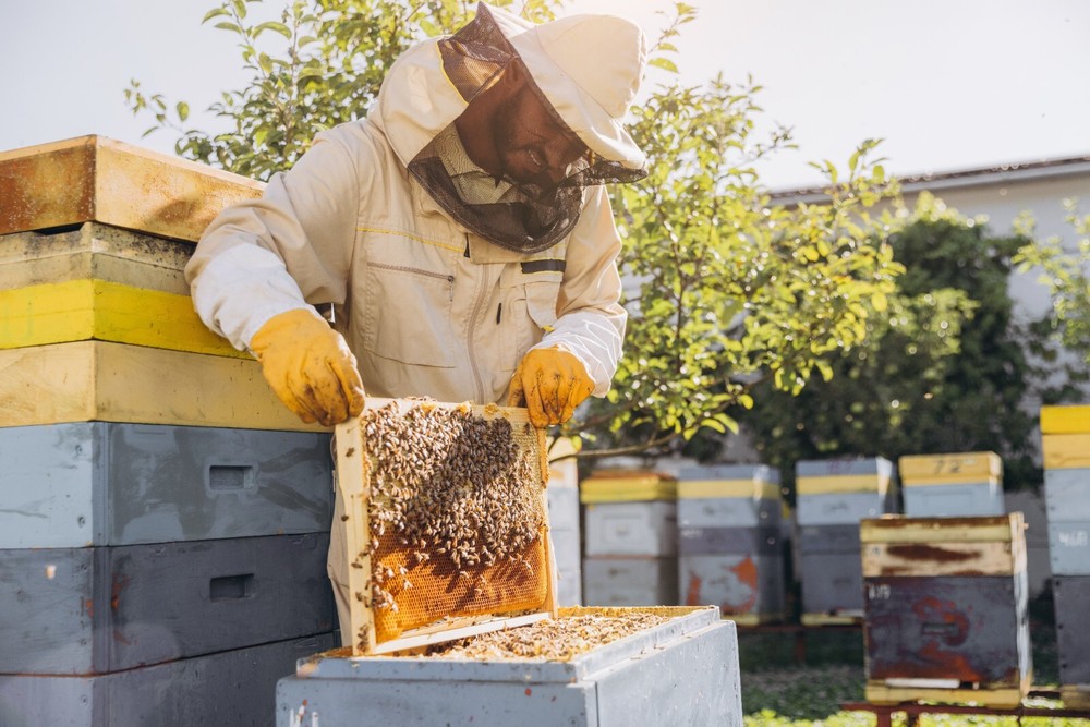 Bee-Sweet Liquid Bee Feed