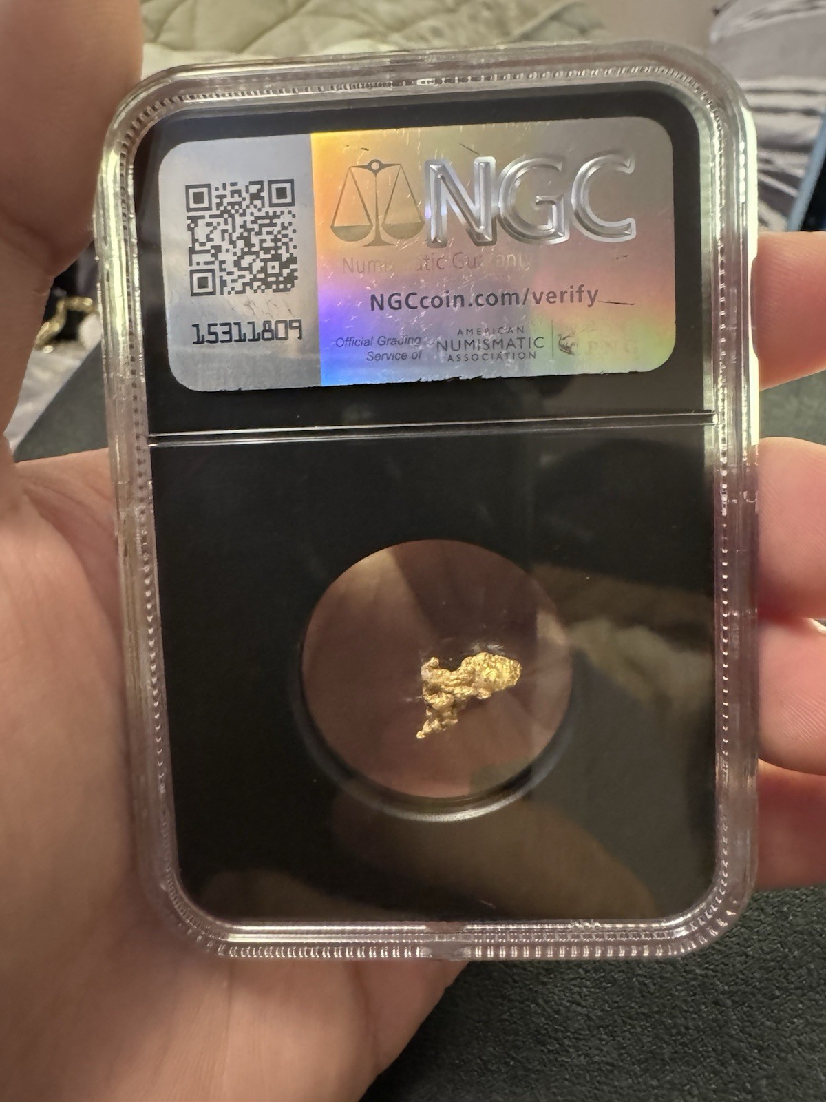 VaultBox NGC Certified Gold Nugget, Very Rare! Sinaloa Mexico 0.73 Grams