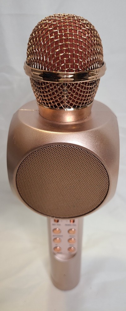 Karaoke Wireless Microphones