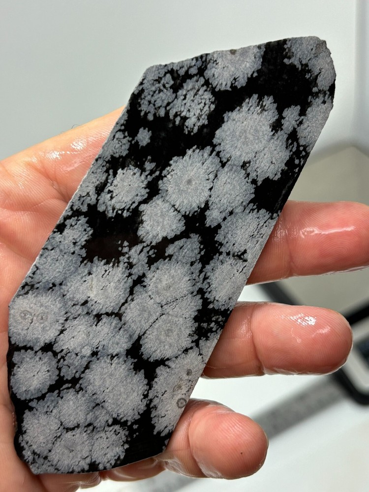 Flower Obsidian (large snowflake) Cabbing Knapping Collecting Combo Ship Avail