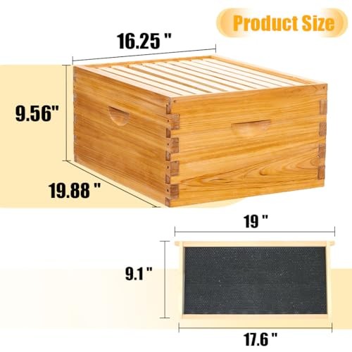 10 Frame Beehive Starter Kit and Beekeeping Supplies Tool Kit, 10-Frame