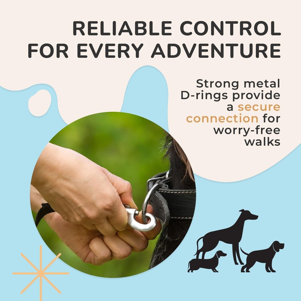 Leash for Dogs Cake and Donut MD