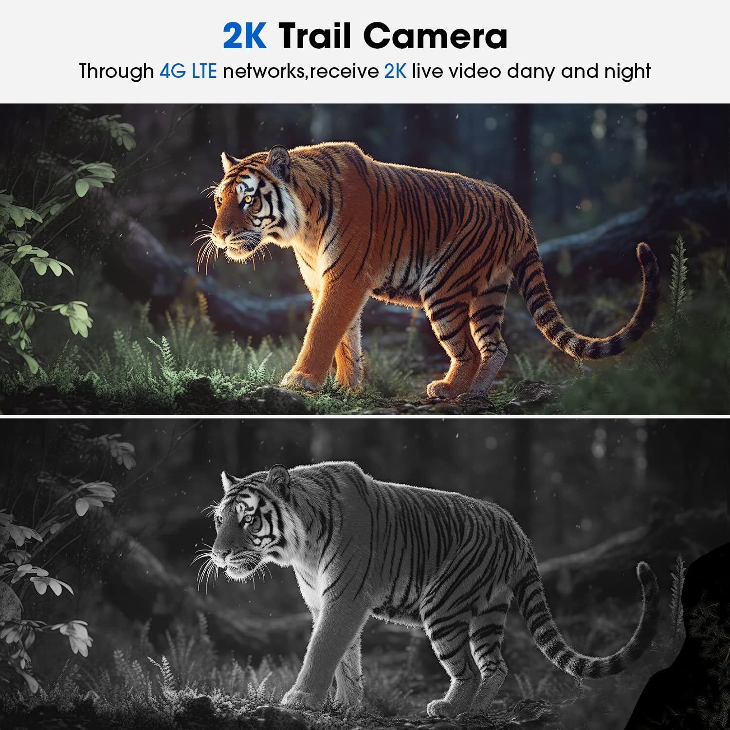 Campark Solar Powered 4G LTE Cellular 2K PTZ Trail Camera Hunting Cam + SIM Card