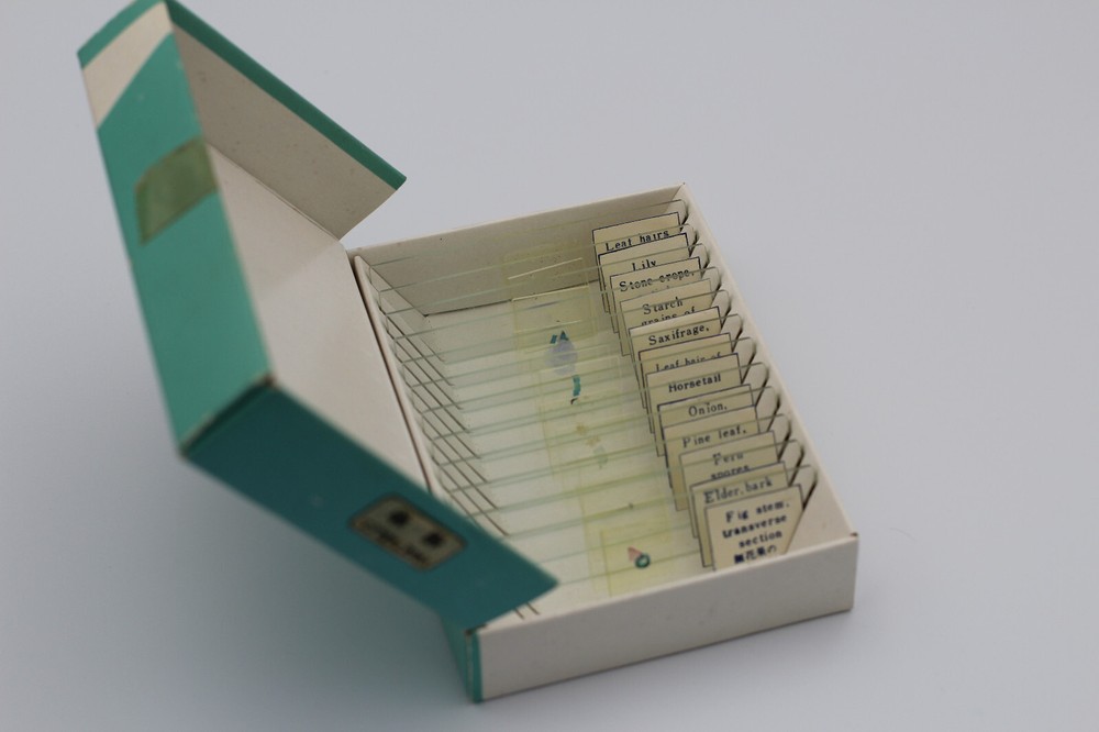 Vintage prepared microscope slides - plants